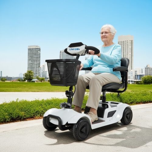 Libercar_scooterminusvalido_Alfa_29